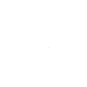 DPMG 360
