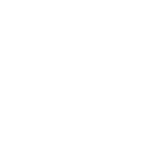 Lifehub Group