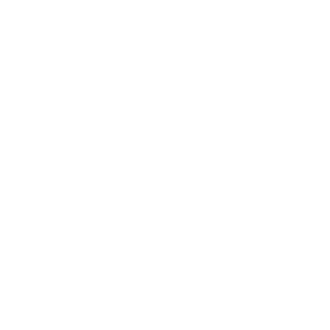 Logo - Michael Cycle Inspect white 2.png