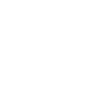 Pop Art Press